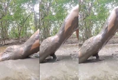 Watch video lonely sex addict guy fucking in the mud in xxx A