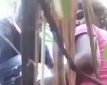 Village couple having sex Sugarcane Field